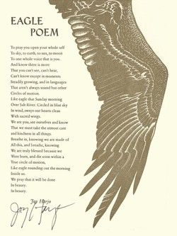 Native American Eagle Symbol, Native American Poems, Eagle Native American, Joy Harjo, Eagles Quotes, Boy Scout Activities, Eagle Totem, Totem Animals, Native American Spirituality