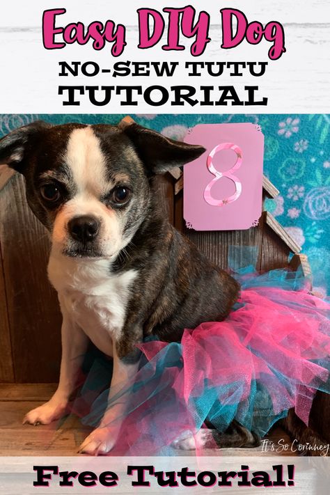 How To Make A Dog Tutu, Dog Skirt Pattern, How To Make A Tulle Skirt, Tutu Tutorial, No Sew Tutu, How To Make Tutu, Dog Tutu, Super Cute Dogs, Diy Tutu