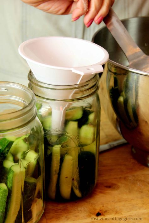 The #1 Best Homemade Claussen Pickles Recipe Claussen Pickle Recipe, Pickling Brine Recipe, Claussen Pickles, Kosher Dill Pickles, Pickle Recipes Homemade, Dill Pickle Recipe, How To Make Pickles, Pickles Recipe, Canning Pickles