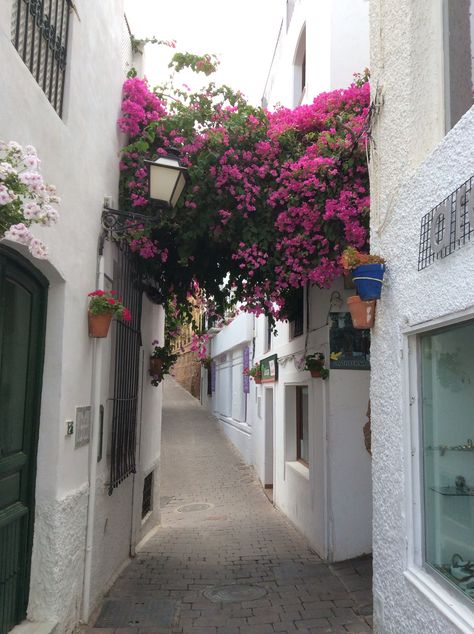 Mojácar, Almería,Spain Almeria Spain, Flowers Everywhere, Beautiful Places To Travel, Outfit Idea, Places To Travel, Beautiful Places, Harry Potter, Favorite Places, Spain