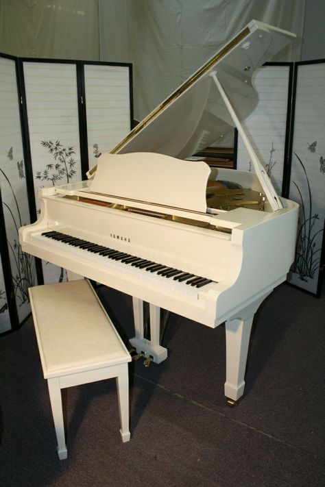 Müzik aletleri
Piyano
Gitar
elektronik gitar
Kılasik gitar
Çello
Keman
Bas gitar
Kuyruklu piyano Yamaha Grand Piano, Piano Store, Piano For Sale, Piano Decor, White Piano, Music Studio Room, Music Machine, Free Piano, Baby Grand Pianos