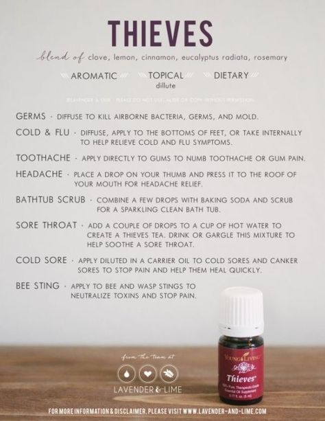 Thieves Blend, Thieves Spray, Young Living Oils Recipes, Oil Therapy, Living Oils Recipes, Thieves Oil, Lemongrass Spa, Snake Oil, Thieves Essential Oil