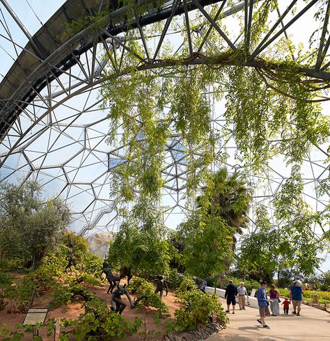 grimshaw's eden project: the world's biggest greenhouse Balcony Herb Gardens, Environmental Architecture, The Eden Project, Comfortable Beds, Geodesic Domes, Concept Models Architecture, Eco Life, Eden Project, Dome House