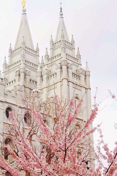 Beautiful Lds Widgets, Lds Temple Pictures, Salt Lake City Temple, Lds Living, Mormon Temples, Temple Square, Salt Lake Temple, Temple Pictures, Random Aesthetics