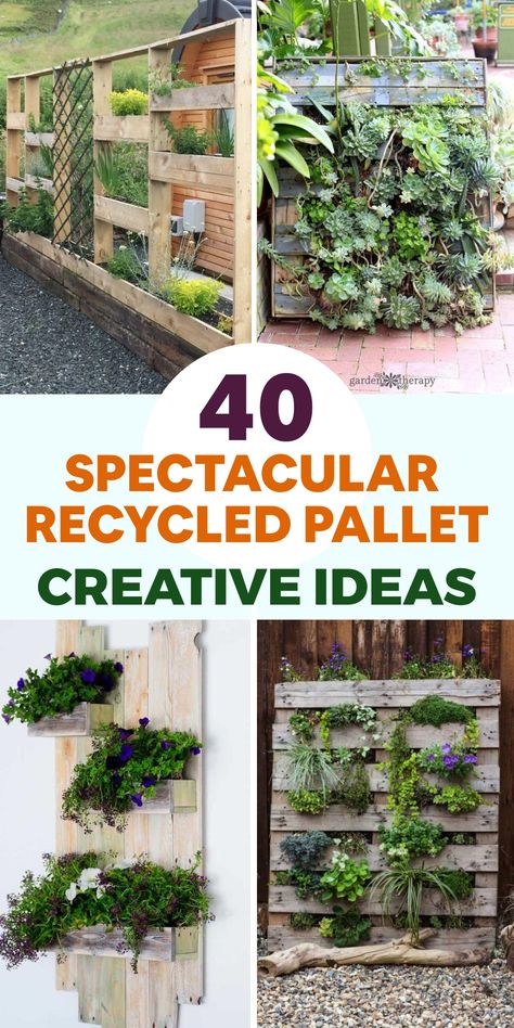 Upgrade your outdoor area with eco-friendly pallet furniture that merges chic design and sustainable practices. Design a welcoming lounge corner by transforming pallets into a snug sofa and incorporating durable cushions for all-weather comfort. Craft a striking vertical garden using pallets as stylish planters to cultivate herbs, blooms, and succulents in a space-efficient and earth-conscious manner. These repurposed pallet projects elevate your outdoor space while showcasing your passion for n Pallet Plant Hanger Wall, Pallet Living Wall, Pallet Creations Diy, Pallet Succulent Planter, Single Pallet Projects, Pallet Planters Ideas, Planters From Pallets, Pallet Planter Wall, Diy Pallet Projects For Beginners