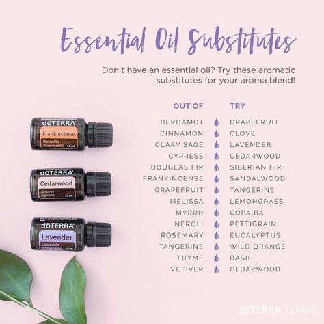 Essential Oil Roller Bottle Recipes, Oil Substitute, Essential Oils 101, Doterra Essential Oils Recipes, Essential Oil Diffuser Blends Recipes, Young Living Essential Oils Recipes, Essential Oils Guide, My Tribe, Essential Oil Diffuser Recipes