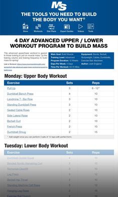 This advanced upper/lower workout is geared to those looking to put on muscle mass. Up the training volume and training frequency to build mass for the fall! Strength Building Workouts, Lower Workout, Push Pull Legs, Leg Workout Routine, Workout Plan For Men, Workout Diet Plan, Fat Burning Workout Routine, Body Fat Loss, Workout Splits