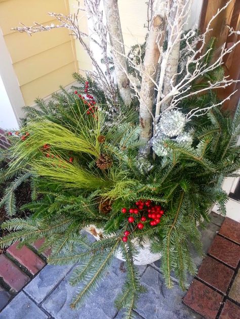 greenery-urn-birch-branches Xmas Porch Decorating Ideas, Birch Branch Ideas, Birch Tree Decor Christmas, Branch Ideas, Bark Idea, Birch Tree Decor, Birch Bark Crafts, Colorado Christmas, Birch Craft