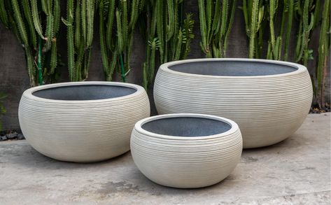 Exton Clay Pot Planter | Birch Lane Campania International, Fiberglass Planters, Small Shrubs, Clay Planters, Small Planter, Cast Stone, Pottery Planters, Large Planters, Outdoor Planters