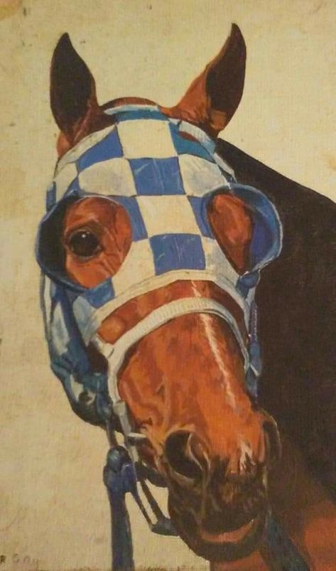 Secretariat Wallpaper, Tie Women Outfit, Secretariat Horse, American Pharoah, Triple Crown Winners, Run For The Roses, Bojack Horseman, Horse Tattoo, Triple Crown