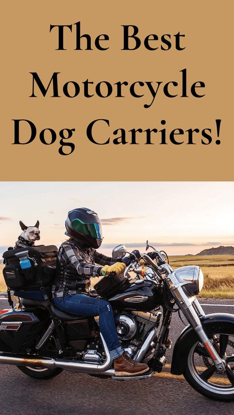 Are you ready to hit the open road with your four-legged friend? Check out our review of the best motorcycle dog carriers and ensure your pup is safe and secure for your next adventure! Motorcycle Dog Carrier, Dog On Motorcycle, Dog Motorcycle, Biker Dog, Best Motorcycle, Motorcycle Camping, Dog Carrier, Open Road, Four Legged