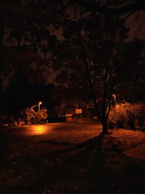 #park #autumn #fall #october #streetlight #light #dark #evening #night #trees #shadows #leaves #orange Horror Filmmaking, Fall At Night, October Evening, Night Trees, Night Park, Autumn Moodboard, October Night, Park At Night, Fall Night