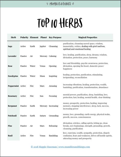 You’re in the right place if you want to… learn about using herbs for magical workings and rituals understand why herbs are often used in witchcraft discover some botanical information hear about some of the ways I like to use herbs in my practice Herbs In Witchcraft, Herb Meanings, Practical Magic Quotes, Herbs For Sleep, Witchcraft Herbs, Magic Energy, Magickal Herbs, Sleep Dream, Grimoire Book