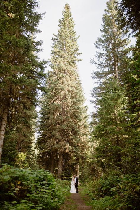 Forest Wedding Photography, Rustic Mountain Wedding, Rainy Sky, Bridal Party Getting Ready, Mountain Wedding Venues, Intimate Wedding Photography, Forest Adventure, Island Lake, Helicopter Ride