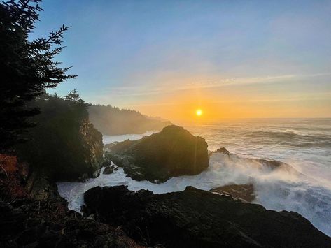 Oregon's Adventure Coast: Coos Bay, North Bend, Charleston Coos Bay Oregon, Coos Bay, Oregon Coast, Hidden Gems, Charleston, Bend, Oregon, Hiking, Gems