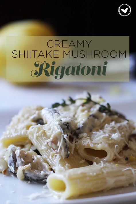 Shiitake Mushroom Pasta, Shitake Mushroom Pasta Recipe, Dried Shiitake Mushroom Recipes, Dried Shitake Mushroom Recipes, Shitake Mushroom Recipes, Shiitake Mushroom Recipes, Mushroom Rigatoni, Shiitake Recipes, Shiitake Mushrooms Recipes