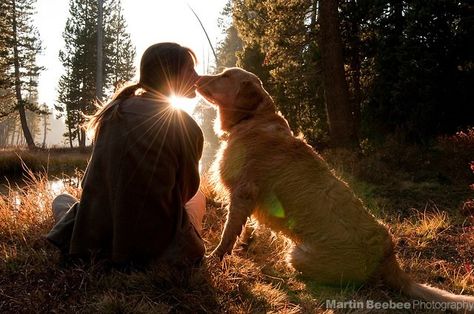 Dog Owner Photoshoot, Dog Family Pictures, Family Dog Photos, Pet Photography Poses, Dog Photoshoot Pet Photography, Dog Photography Poses, Perros Golden Retriever, Animal Photoshoot, Dog Kisses