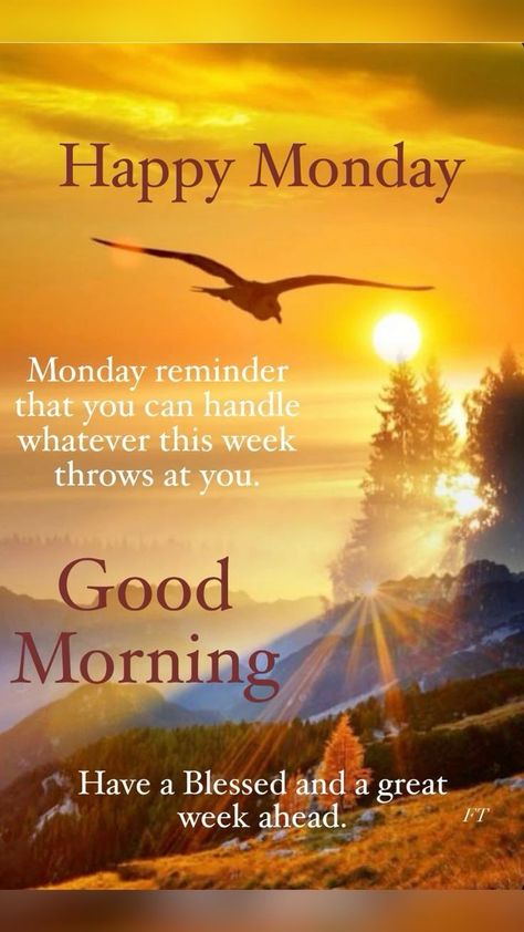 Monday Morning Quotes Inspiration Positivity, Quotes For Your Partner, Monday Morning Greetings, Monday Morning Blessing, Magic Monday, Week Blessings, Monday Morning Motivation, Happy Monday Quotes, Happy Monday Morning