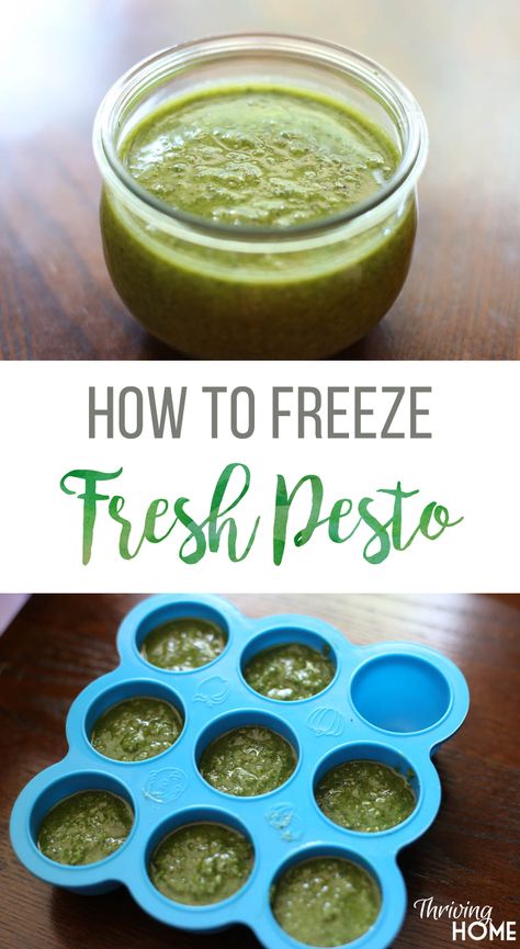 Basil Pesto Freezer Recipe, How To Freeze Pesto Sauce, How To Make Pesto From Fresh Basil, Pesto For Freezing, How To Make Pesto With Basil To Freeze, Pesto Recipe Canning, Freezable Sauces, How To Make Pesto With Basil, How To Use Pesto