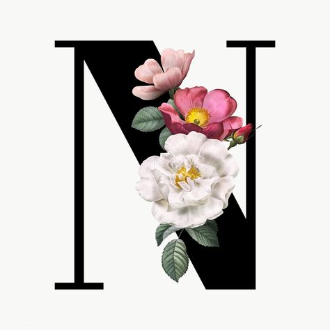 N Font Design, N Font, Alphabet N, N Wallpaper, N Letter, Alphabet Letters Design, Stylish Alphabets, Alphabet Font, Floral Alphabet