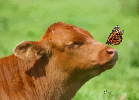 Cow Butterfly, Cows Reference, Animal Photo Reference, Cow Reference Photos, Cow Side Profile, Cow Reference, Cows Drawing, Cow Nose, Cow Pose