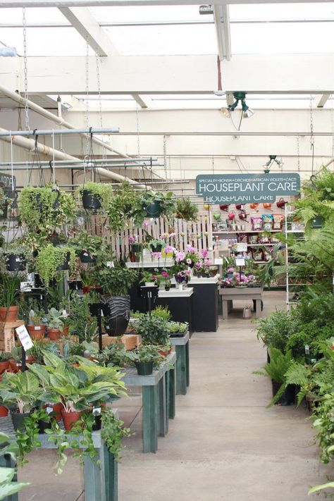 Plant Bussines Idea, Retail Store Ideas, Plant Store, Plant Shop, Garden Centre, Store Ideas, Plant Aesthetic, Store Displays, Garden Shop