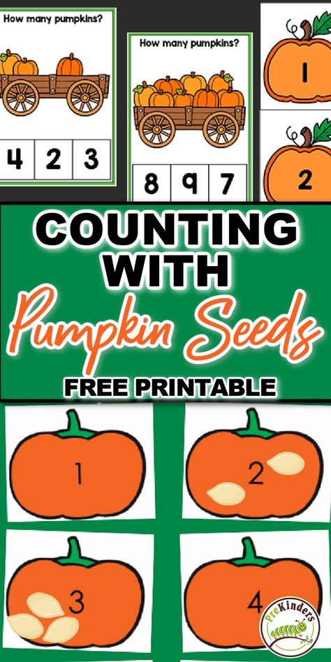 PreKinders shares these FREE pumpkin counting printables! Children can use real pumpkin seeds while practicing numeral recognition and counting skills. There’s also a set of pumpkin counting clip cards! This is a fun fall math activity your preschool kids will enjoy! Fall Math Activities Kindergarten, Pumpkin Math Activities For Toddlers, Pumpkin Counting Preschool, How Many Seeds In A Pumpkin Activities, Pumpkin Number Sense Activities, Pumpkin Seed Counting Activity, Pumpkin Seed Activities, Pumpkin Counting Mats, Pumpkin Math Activities