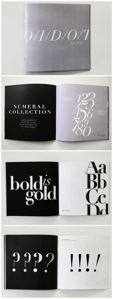 Didot Type Specimen Booklet http://www.behance.net/gallery/Didot-A-Type-Specimen-Book/6873677 Specimen Book Typography, Type Book Design, Typography Specimen Booklet, Book Chapter Design Layout, Typeface Specimen Book, Type Specimen Book Layout, Booklet Typography, Typeface Booklet, Typography Publication