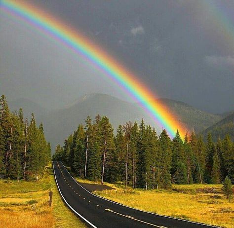 Birth Marks, Rainbow Pictures, Rainbow Photography, Rainbow Rain, God's Promise, Rainbow Magic, Rainbow Sky, Rainbow Aesthetic, Beautiful Rainbow