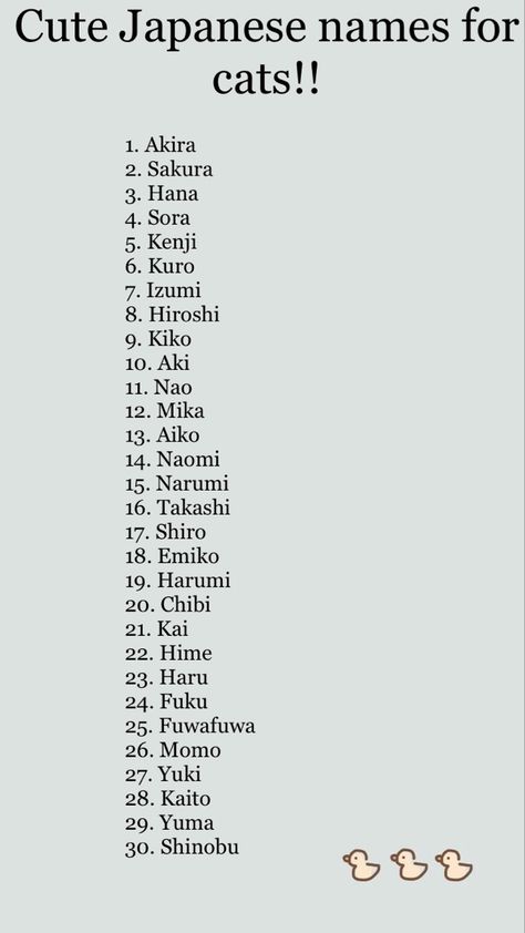 Japanese Names For Pets, Japanese Names For Cats, Japanese Name Ideas, Latina Names, Japanese Cat Names, Cute Kitten Names, Naruto Names, Japanese Female Names, Calico Cat Names