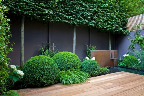 How To: Elegant & Practical Garden Screening – Pleached Tree Paradise – MAKE IT MOREGEOUS Hortensia Annabelle, Pleached Trees, East Facing Garden, Narrow Garden, Asian Landscape, Asian Garden, Garden Screening, Black Garden, Easy Care Plants