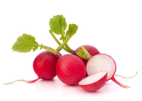 How To: Radish Fresh Green Salad, Asparagus Mushroom, Red Radish, Food Clip Art, From Farm To Table, Globe Amaranth, Rare Seeds, Heirloom Vegetables, Tossed Salad