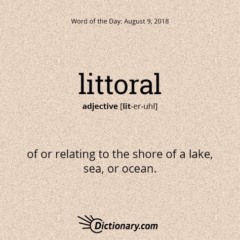 Words Related To Love, Ocean Words, Definition Quotes, Dictionary Words, Uncommon Words, Fancy Words, Word Nerd, Interesting English Words, Unusual Words