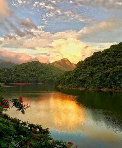 🇵🇷Yauco, Puerto Rico. 📸Adventure b Adventure Nature, Historical Events, Beautiful Photo, Cuba, Puerto Rico, Follow Us, Instagram Story, Natural Beauty, Places To Visit