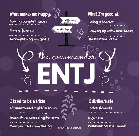 Entj Type, Mbti Aesthetic, Entj Mbti, Entj Personality, Mbti Charts, Cognitive Functions, Mbti Memes, People Person, Myers–briggs Type Indicator