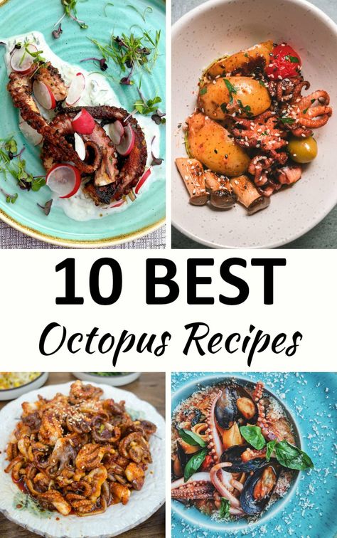 This collection of Octopus Recipes will show you how surprisingly versatile this seafood is. Octopus Dinner Recipe, Best Octopus Recipes, Small Octopus Recipe, Octopus Tostadas, Octopus Recipes Easy, Octopus Ceviche Recipe, Octopus Ramen, Octopus Dishes, Octopus Salad Recipe