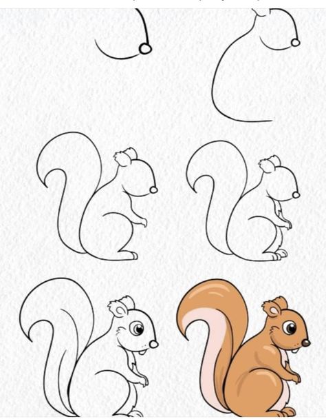 Kids Drawing Easy, Draw A Squirrel, Kids Drawing Ideas, Hedgehog Drawing, Squirrel Art, Directed Drawing, A Squirrel, Easy Doodles Drawings, Drawing Easy