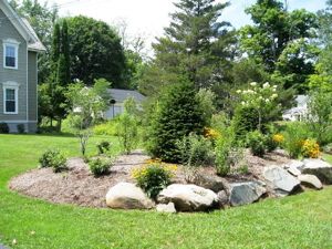 Landscaping Berm Ideas, Septic Mound Landscaping, Diy Rock Garden, Shade Garden Design, Backyard Garden Layout, Privacy Landscaping, Landscaping Images, Side Garden, Better Homes And Garden