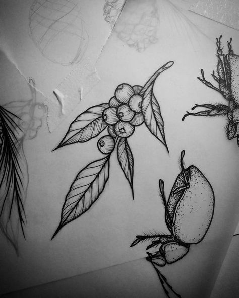 Blatt Tattoos, Traditional Tattoo Outline, Engraving Tattoo, Polynesian Tattoos, Coffee Tattoos, Geometric Tattoos, Plant Tattoo, Tatuaje A Color, Botanical Tattoo