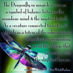 Dragonfly Quotes, Spirit Animal Totem, Animal Spirit Guide, Witch Rituals, Animal Spirit Guides, Animal Medicine, Animal Spirit, Spirit Guide, Spirit Animals