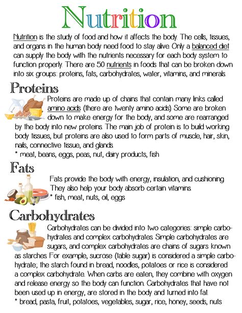 Nutrition (Groups - part 1) ~ Anchor Chart * Jungle Academy Animal Nutrition Biology Notes, Nutrition In Human Beings Notes, Nutrition Class 10 Notes, Plant Nutrition Biology Notes, Dietitian Study Notes, Nutrition Study Notes, Nutrition In Plants Class 7 Notes, Biology Nutrition, Nutrition Notes