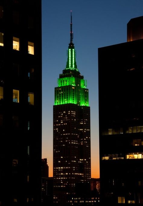 Empire State Of Mind, I Love Ny, St Paddys Day, City That Never Sleeps, St Paddy, St Pattys, St Pattys Day, Empire State, New Yorker