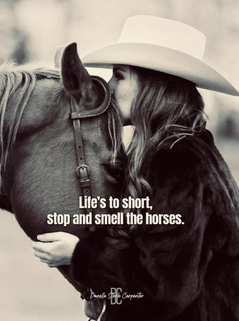 Horse Girl Quotes, Horses Quotes, Horse Massage, Equine Quotes, Horse Quote, American Saddlebred Horses, Western Quotes, Cowboy Quotes, Cowgirl Quotes