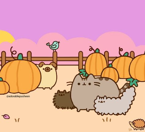 Uwu Wallpaper, Pusheen Valentines, Halloween Pusheen, Pusheen Halloween, Pusheen Christmas, Kawaii Pets, Halloween Pumpkin Patch, Pusheen The Cat, Pusheen Cute