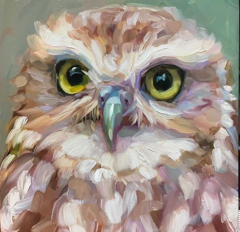 Cute Animal Paintings Acrylic, Owl Oil Painting, Owl Painting Ideas, Oil Pastel Animals, Holly Storlie, Oil Painting Animals, Owl Study, Owl Painting Acrylic, Bird Art Painting