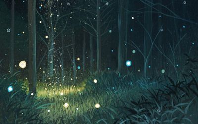 Forest night Artistic desktop wallpaper download Anime Forest, Ghost Orbs, Night Wallpapers, Anime Night, Wallpaper Night, School Hallway, Background Anime, Time Wallpaper, Galaxy Wallpapers