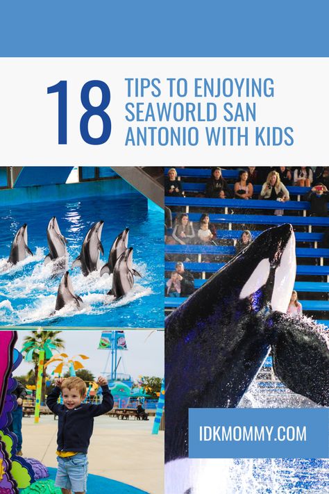 Sea World San Antonio Tips, San Antonio With Kids, San Antonio Sea World, Sea World San Antonio, Seaworld San Antonio, Life Changing Tips, San Antonio Restaurants, Visit San Antonio, Best Amusement Parks