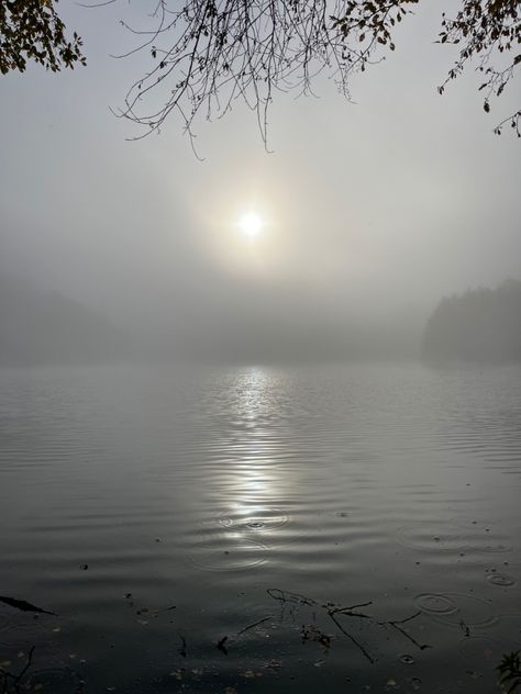 Lake in the mist ! #lake #forest #morning #mist #promenad #nature #printable #aesthetic #winter Foggy Lake Aesthetic, Mist Aesthetic, Forest Morning, Foggy Lake, Forest Mist, Mists Of Avalon, Salt City, A Darker Shade Of Magic, A Level Photography