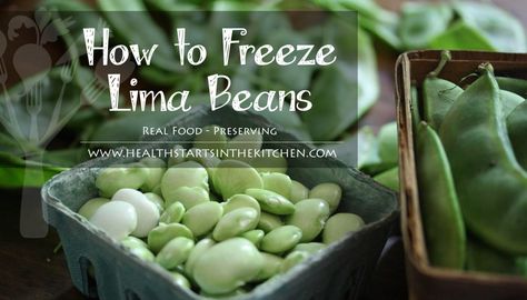 How to Freeze Lima Beans How To Freeze Lima Beans, Freezing Lima Beans, Garden Preserving, Freezing Produce, Freeze Vegetables, Baby Lima Beans, Freezing Veggies, Lima Bean Recipes, Freezing Vegetables