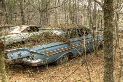 Car Junkyard, Compound House, Advent Scripture, Junkyard Cars, Truck Girl, Abandoned Vehicles, Car Barn, Junk Yard, Scrap Car